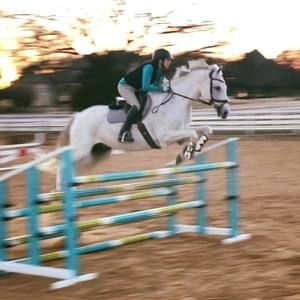 Meet your Posher, Kelly